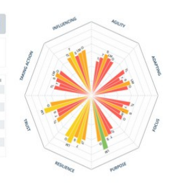 360&deg; team profiler radar chart used in the Diagnostic