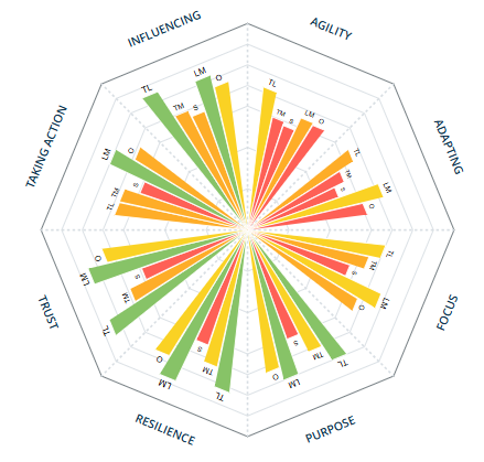 Asset management leadership team profiler result before the engagement