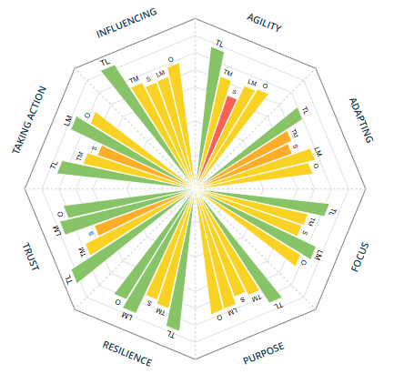 Asset management leadership team profiler result after the workout journey