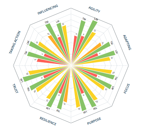 Banking leadership team profiler result after the workout sequence