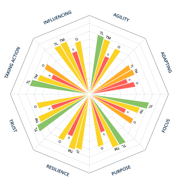 Banking leadership team profiler result before the engagement