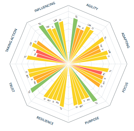 Insurance leadership team profiler result after six workouts