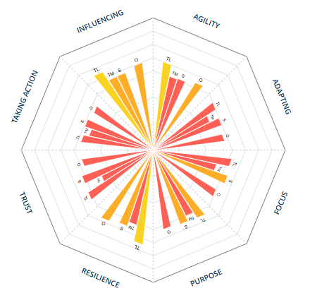 Insurance leadership team profiler result before the engagement