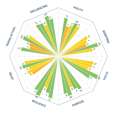 Nasdaq leadership team profiler result after the workout journey