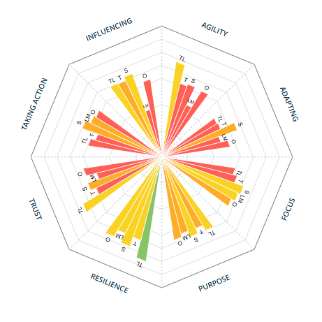 Nasdaq leadership team profiler result before the engagement